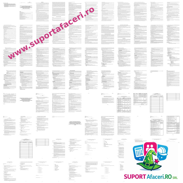 Instrucțiuni proprii SSM Coordonator echipă testare jocuri video – model editabil DOC