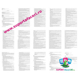 Fișa postului Șef tură servicii securitate – model editabil DOC