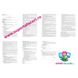 Fișa postului Tâmplar mecanic la strunjit – model editabil DOC