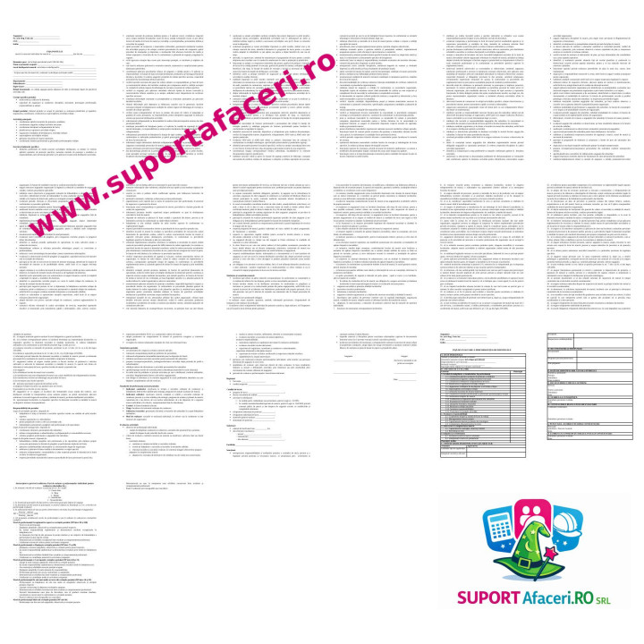 Fișa postului Șef echipă specializată – model editabil DOC