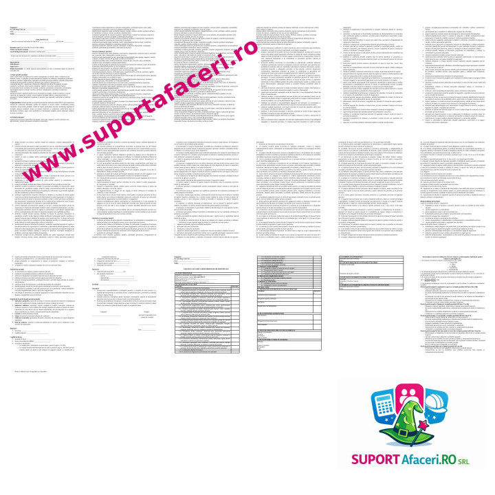 Fișa postului Șef stație peco – model editabil DOC