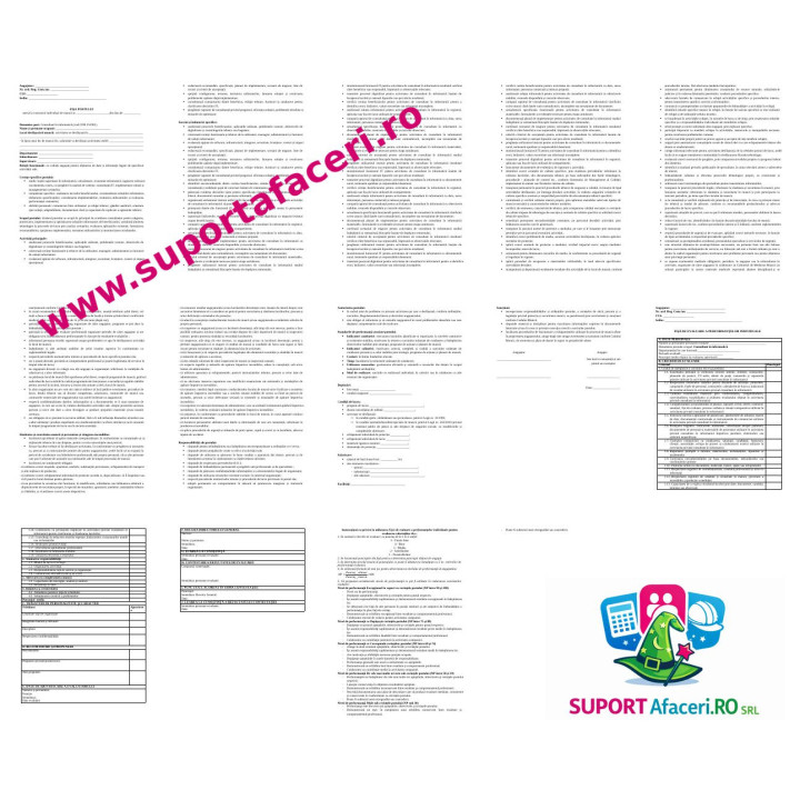 Fișa postului Consultant în informatică – model editabil DOC