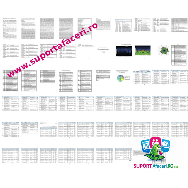 Evaluare riscuri Confecționer corzi din intestine – model editabil DOC