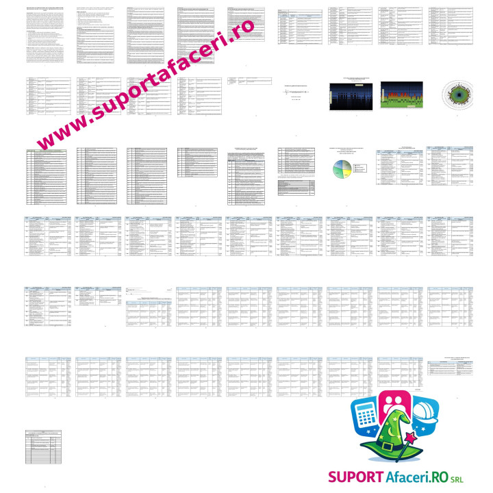 Evaluare riscuri Prestidigitator – model editabil DOC