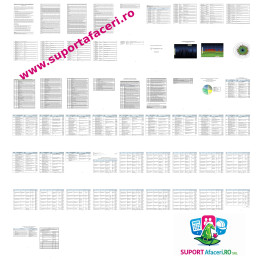 Evaluare riscuri Emailator prin imersiune – model editabil DOC