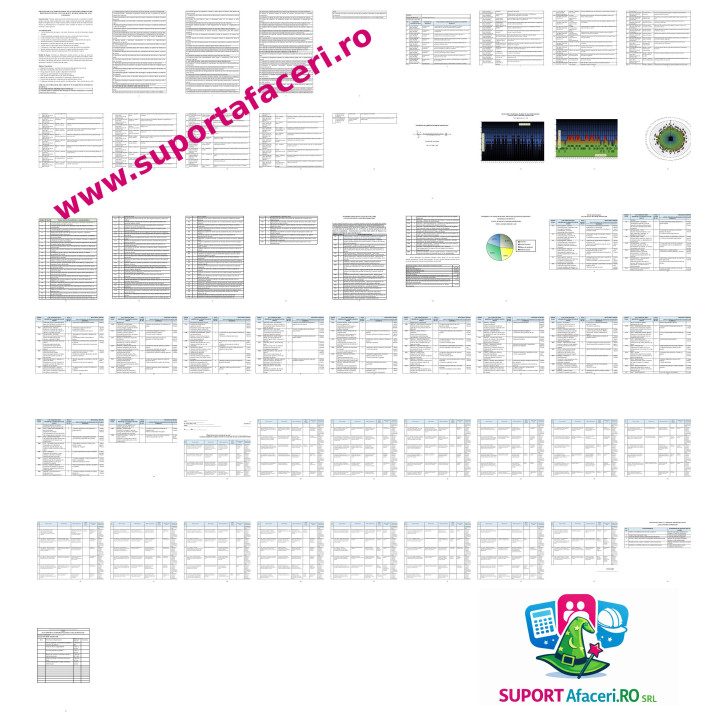 Evaluare riscuri Docher-amarator – model editabil DOC