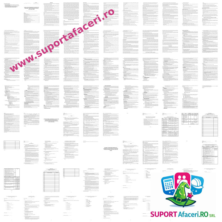 Instrucțiuni proprii SSM Fizician – model editabil DOC